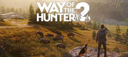 (TEST) Way of the Hunter 2 (PC, ...